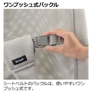 バウンサー チェア バウンシングシートN リッ...の詳細画像4