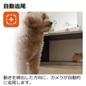 見守りカメラ LOOK 防犯 カメラ 小型 屋...の詳細画像3