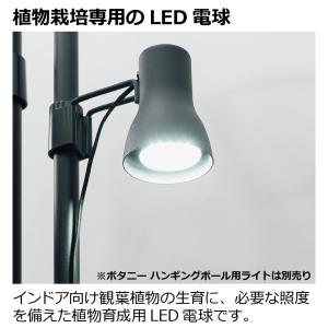 植物育成用LED電球(E26) 1型 植物 育...の詳細画像4