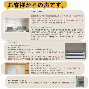 調光 ロールスクリーン ロールカーテン ブライ...の詳細画像3