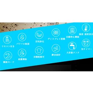 除湿機 除湿器 空気清浄機 デシカント 衣類乾...の詳細画像5
