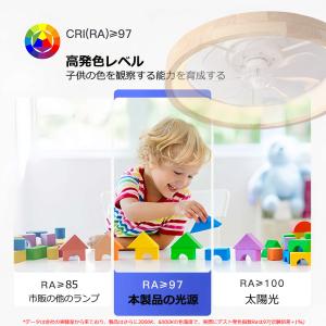 天然木 シーリングファン シーリングファンライ...の詳細画像1