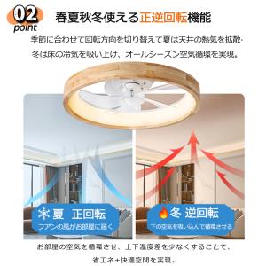 天然木 シーリングファン シーリングファンライ...の詳細画像3