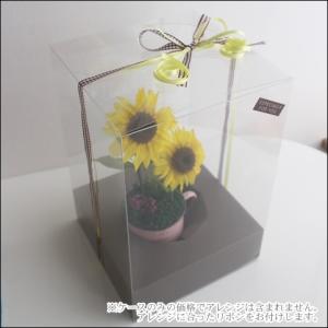 【単品購入不可】クリアケースLL