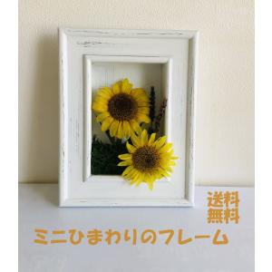 ミニひまわり プリザーブト プリザーブドフラワー花束 アレンジメント の商品一覧 プリザーブドフラワー 花 ガーデニング 通販 Yahoo ショッピング