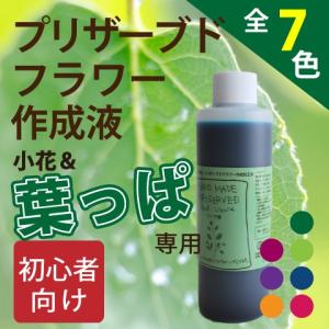 3営業日以内に発送】生のお花を枯れないお花に残す/プリザーブドフラワー作成用　簡単吸上げ液200ccグリーン◆取扱説明書付/加工・保存・作成液