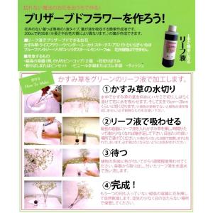 3営業日以内に発送】生のお花を枯れないお花に残...の詳細画像1