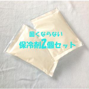 保冷剤 ベビーカークッション 用 別売り 2個セット 予備