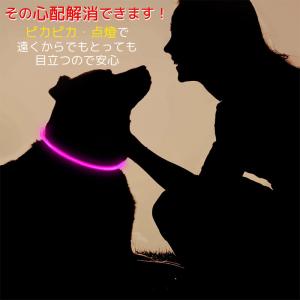 セール 犬 首輪 光る 光る首輪 レインボー ...の詳細画像2