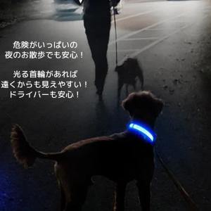 セール 犬 首輪 光る 光る首輪 レインボー ...の詳細画像3
