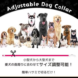 セール 犬 首輪 光る 光る首輪 レインボー ...の詳細画像5