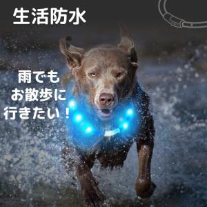セール 犬 首輪 光る 光る首輪 レインボー ...の詳細画像4