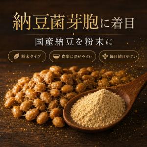 粉納豆 こな納豆 国産納豆100% 30包 個...の詳細画像3