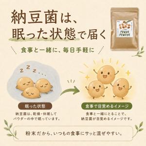 粉納豆 こな納豆 国産納豆100% 30包 個...の詳細画像4