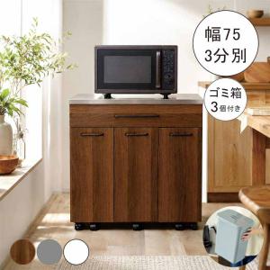 日曜日 P15％〜キッチンカウンター 98 ダストボックス 3分別 収納
