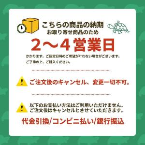 ミキハウス ネオンカラー ロゴ ソックス We...の詳細画像5