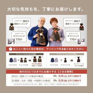 ペアパジャマ 母の日 父の日 夏 セット ダブ...の詳細画像2