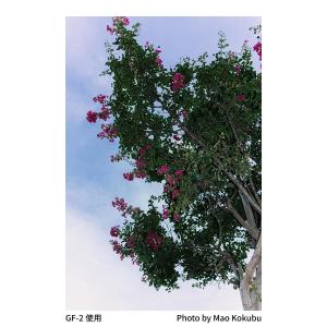 RICOH 小型フラッシュ GF-2 / ガイ...の詳細画像4