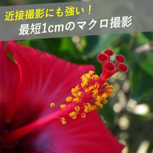 RICOH WG-80 オレンジ(リコー コン...の詳細画像4