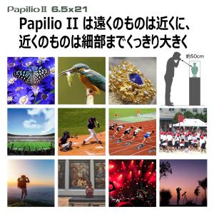 双眼鏡 ペンタックス PENTAX Papil...の詳細画像3