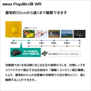 双眼鏡 ペンタックス PENTAX Papil...の詳細画像5