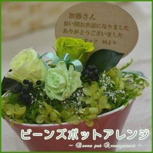 ピンクビーンズポットアレンジ  グリーン  プリザーブドフラワー 枯れないお花  メッセージ名入れ可能　母の日　花　プレゼント　ギフト　2024　｜ricordo