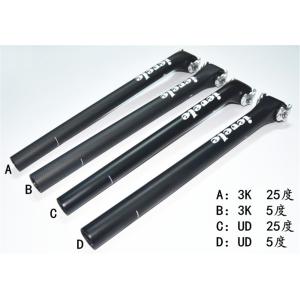 TNI ティーエヌアイ Black シートポスト カーボンピラー Φ27.2/長さ