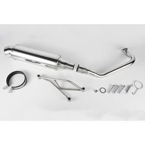 BEAMS（ビームス） マフラー 送料無料 マフラー アドレスV125 S CF4MA