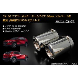 クリアワールド】デュアル LED テールランプ / スモークレンズ