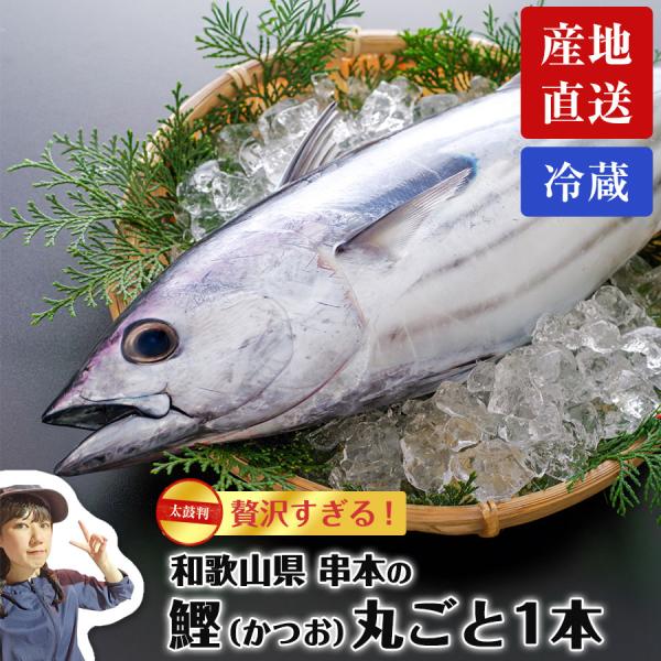 母の日 海鮮 魚 プレゼント 和歌山 串本 もちもちケンケンカツオ 初鰹 丸ごと1本 3kg台 ※水...