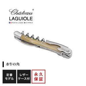 Chateau LAGUIOLE シャトーラギオール マリーアントワネット