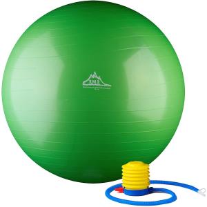 GYMNIC 【並行輸入品】 ギムニク 触覚ボール 10 Gymnic ソフトタイプ