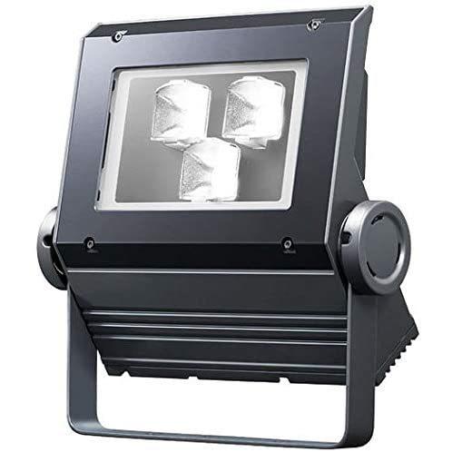 岩崎 レディオック フラッド ネオ 投光器 60クラス 広角 昼白色 本体色 ダークグレイ LED一...