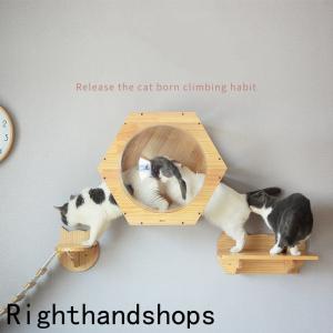 キャットウォーク キャットタワー キャットステ...の詳細画像1