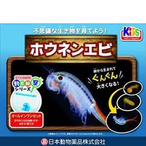 ニチドウ 飼育観察セット ホウネンエビ｜riiccoo-stor