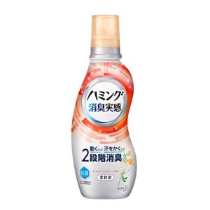 ハミング消臭実感 ヨーロピアンジャスミンソープの香り 本体 530ml｜riina-shop