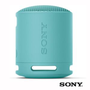 SRS-XB100 LC