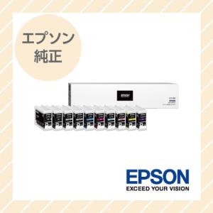 EPSON エプソン インクカートリッジ 純正 97系10色パック（BK、MB、C、Y、GY、VM、LC、VLM、LGY、DBL） IC10CL97｜rijapan