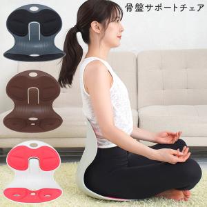 姿勢矯正 腰痛対策 骨盤サポートチェア 天使の椅子プレミアム DCT