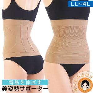 Vアップシェイパー ヒロミ プロデュース エクサ メンズ Vアップシェイパー ヒロミ プロデュース エクサ メンズ