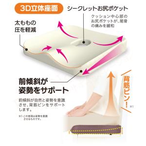 Dr.PRO低反発フィットクッション 2個セッ...の詳細画像2