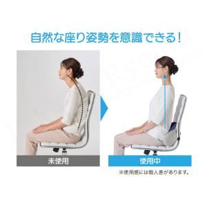 腰ほぐしボールクッション 単品 姿勢サポート ...の詳細画像3