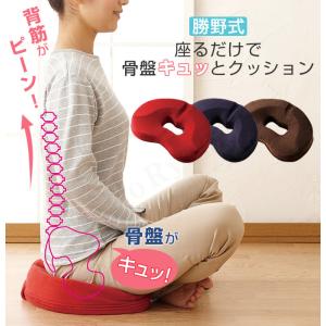 勝野式 座るだけで骨盤キュッとクッション 骨盤...の詳細画像1