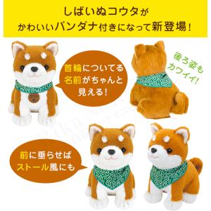 こんにちワン!しばいぬコウタ バンダナつきセッ...の詳細画像1