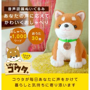 こんにちワン!しばいぬコウタ バンダナつきセッ...の詳細画像2