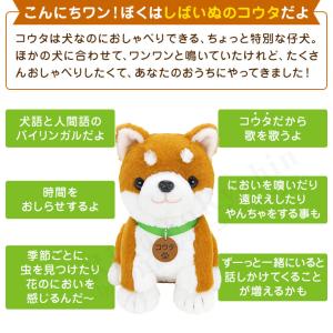 こんにちワン!しばいぬコウタ バンダナつきセッ...の詳細画像3