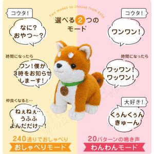 こんにちワン!しばいぬコウタ バンダナつきセッ...の詳細画像4