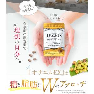 オサエルEX 120粒 1日2粒:60日分 機...の詳細画像3