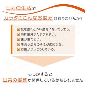 兼子ただし 完全監修 S帯 メール便 エスおび...の詳細画像3