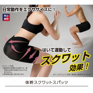 ニーズ 体幹スクワットスパッツ メール便 男女...の詳細画像1
